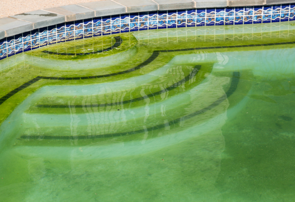 4 étapes pour récupérer une piscine verte à cause des algues